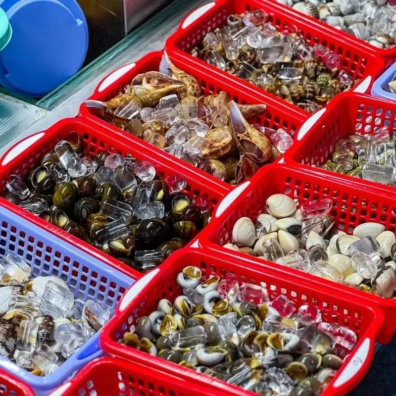 C&aacute;c loại ngh&ecirc;u, s&ograve; huyết v&agrave; ốc tươi c&oacute; phần vỏ kh&eacute;p chặt, phản ứng nhanh khi chạm v&agrave;o