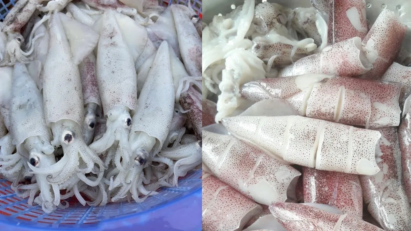 Mực tươi với phần th&acirc;n trắng đục, da săn chắc