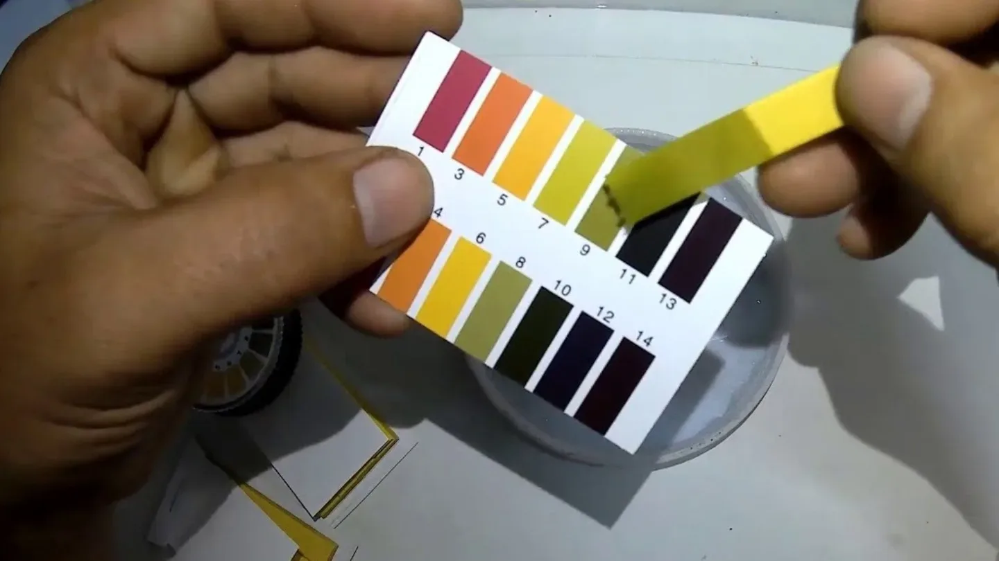 Nh&uacute;ng giấy quỳ t&iacute;m v&agrave;o nước rửa hải sản để kiểm tra sự hiện diện của Ure